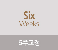 6주교정